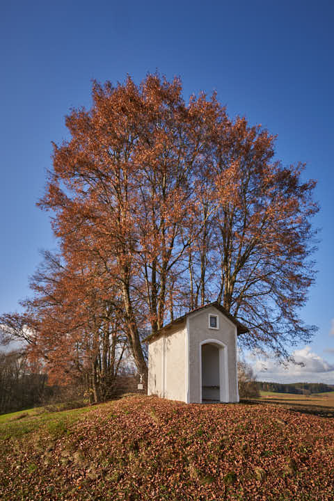 Gemeinde Neumarkt_St._Veit Landkreis Mühldorf Himmelsberg Kapelle Hörbering (Dirschl Johann) Deutschland MÜ